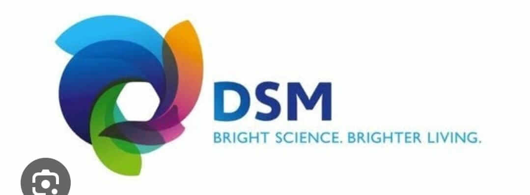 DSM transformer service client