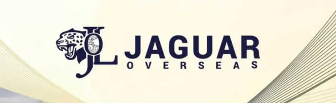 Jaguar transformer service client